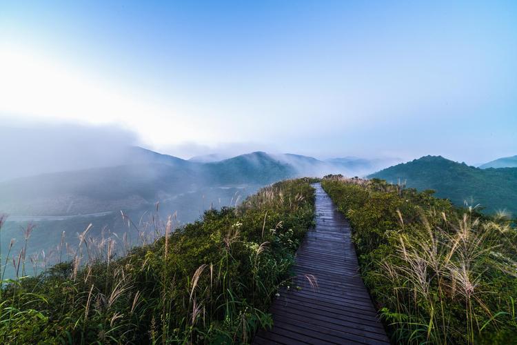 大围山旅游攻略，如何规划一次完美的旅行体验？-图3