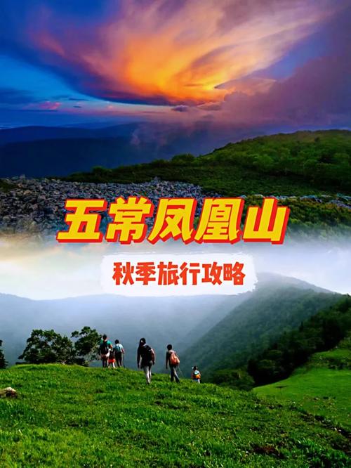 五常旅游攻略，如何规划一次完美的旅行体验？-图3