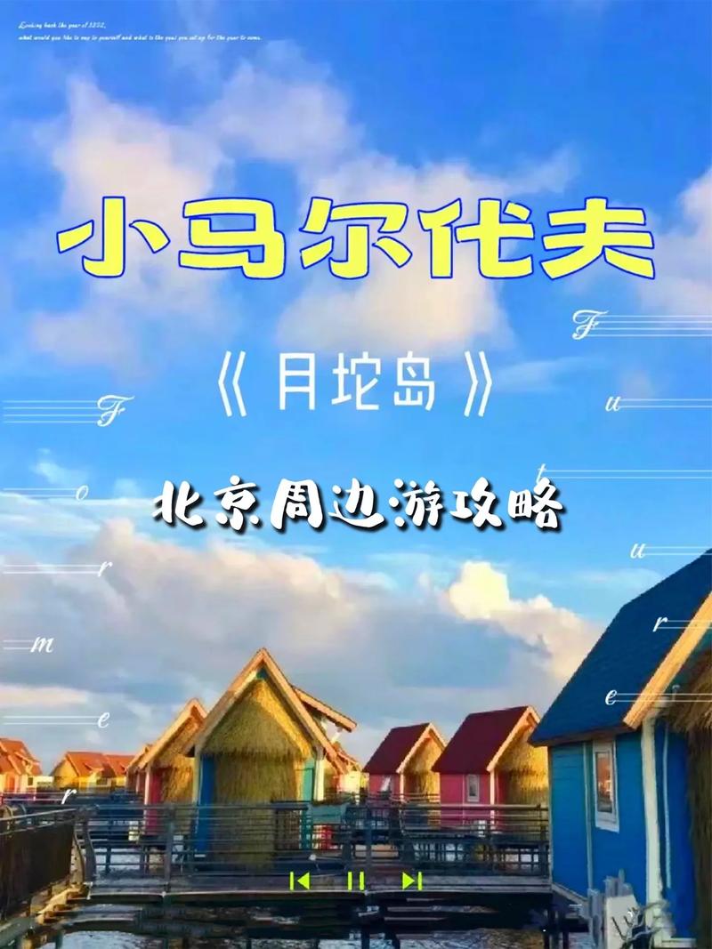 月坨岛旅游攻略，如何玩转这座美丽的海岛？-图2