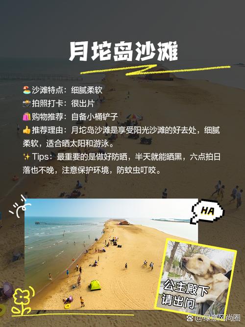 月坨岛旅游攻略，如何玩转这座美丽的海岛？-图3