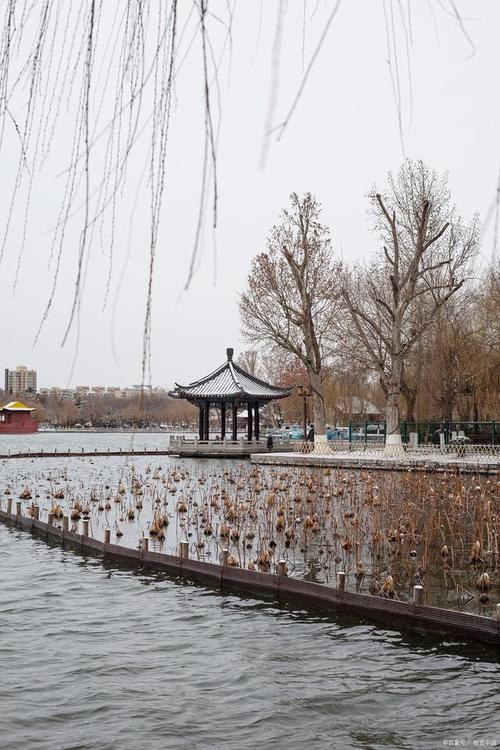 济南冬季旅游有哪些必去景点和特色活动？-图3