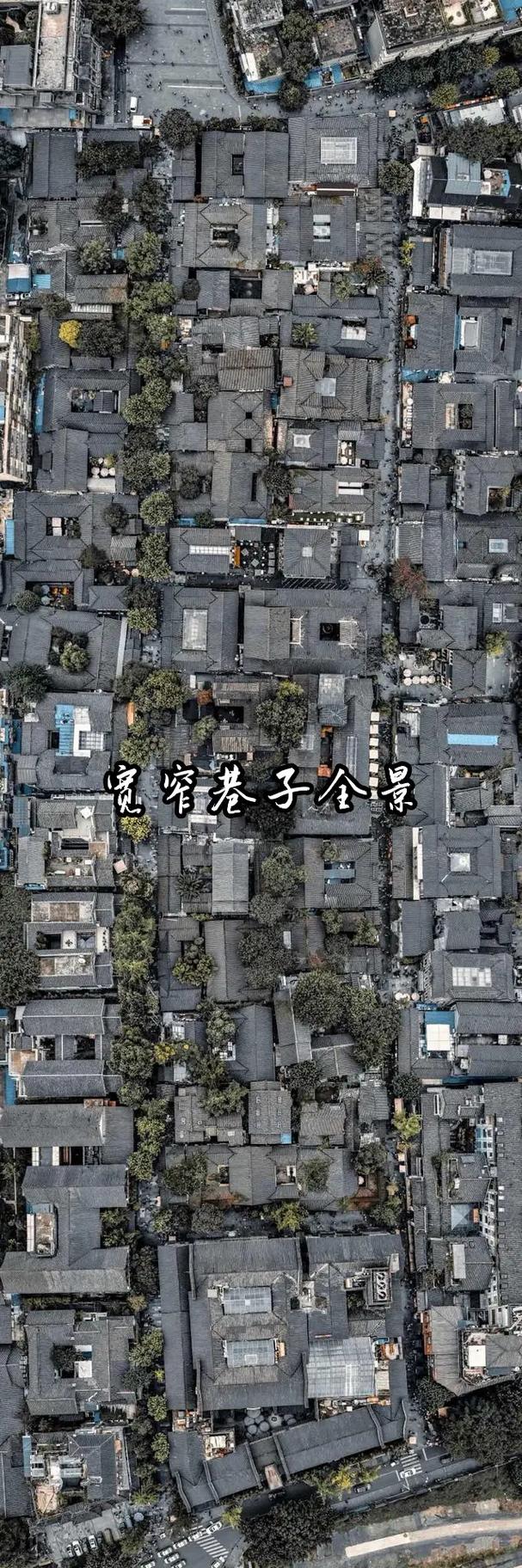 宽窄巷子旅游攻略，如何玩转成都的历史文化街区？-图1