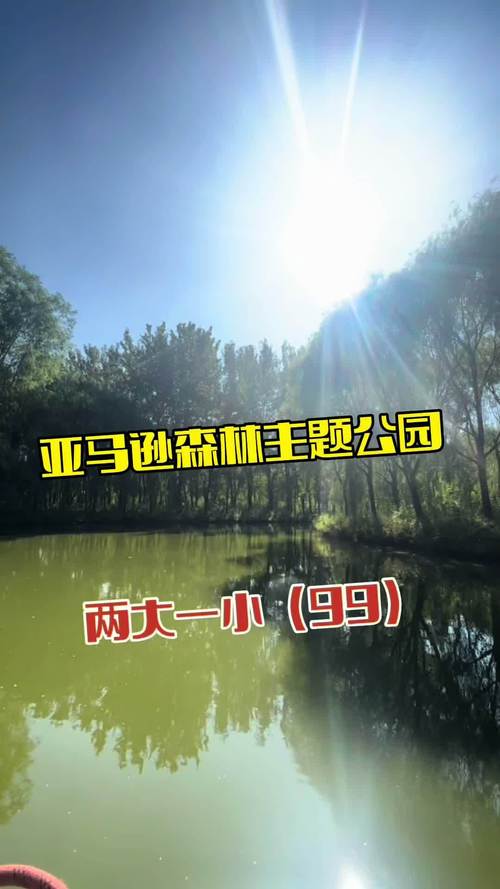 亚马逊旅游攻略，如何规划一次难忘的探险之旅？-图3