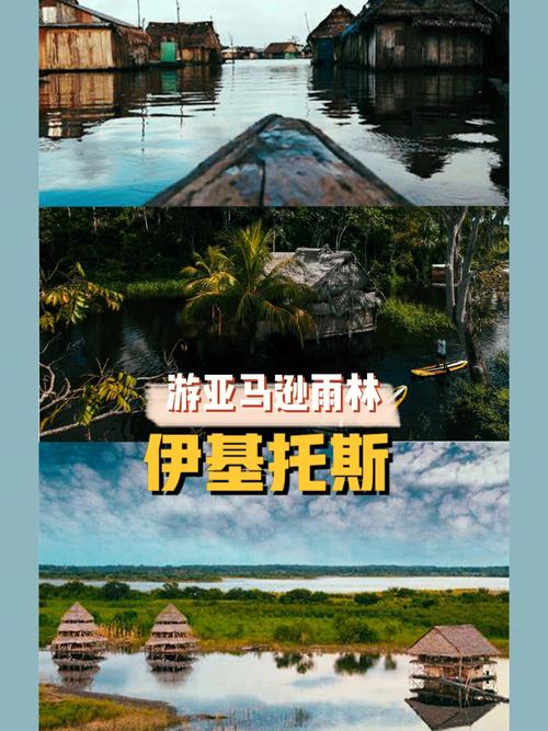 亚马逊旅游攻略，如何规划一次难忘的探险之旅？-图2