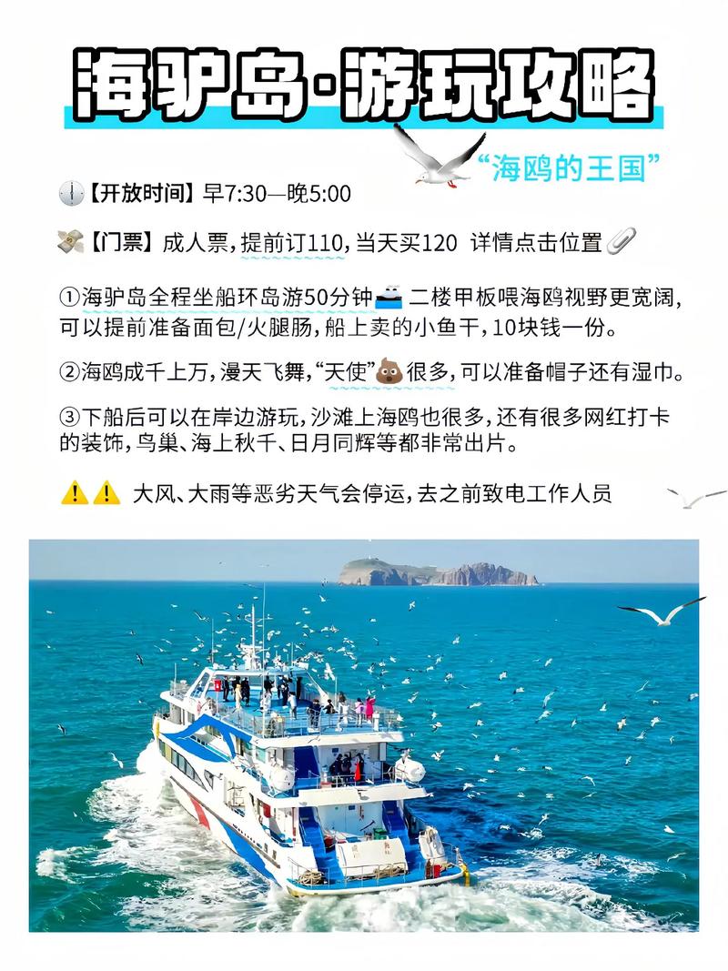 海驴岛旅游攻略，如何规划一次完美的海岛之旅？-图3