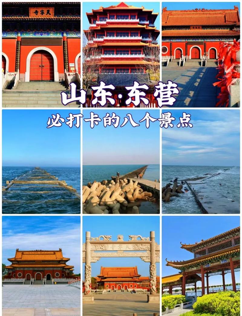 黄河口旅游攻略，如何规划一次难忘的旅行？-图1