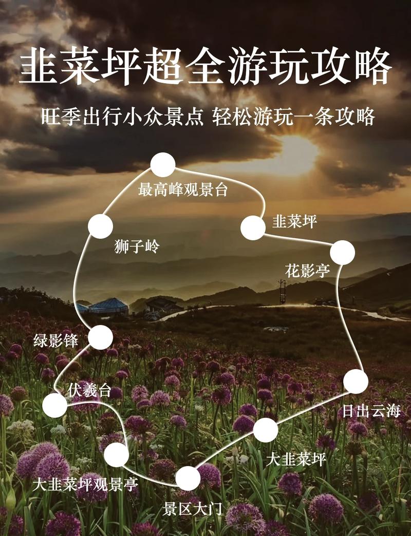 韭菜坪旅游攻略，如何规划一次完美的韭菜坪之旅？-图1