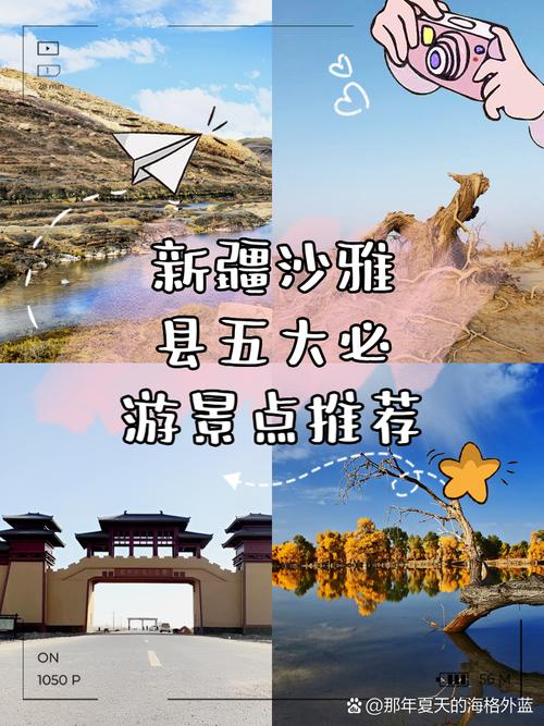 沙雅旅游攻略，如何规划一次完美的沙雅之旅？-图2