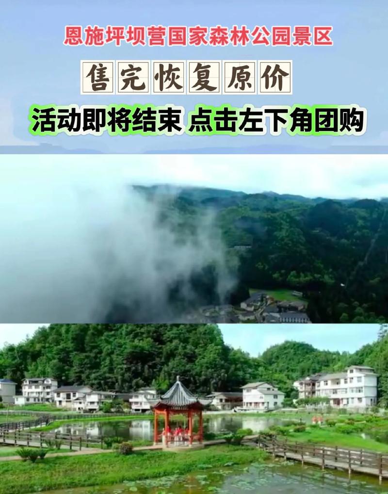 坪坝营旅游攻略，如何规划一次完美的旅行体验？-图3