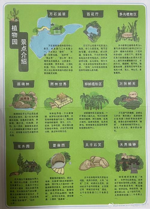 厦门植物园旅游攻略，如何规划一次完美的游览体验？-图3