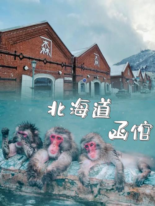 函馆旅游攻略，如何规划一次完美的旅行体验？-图2