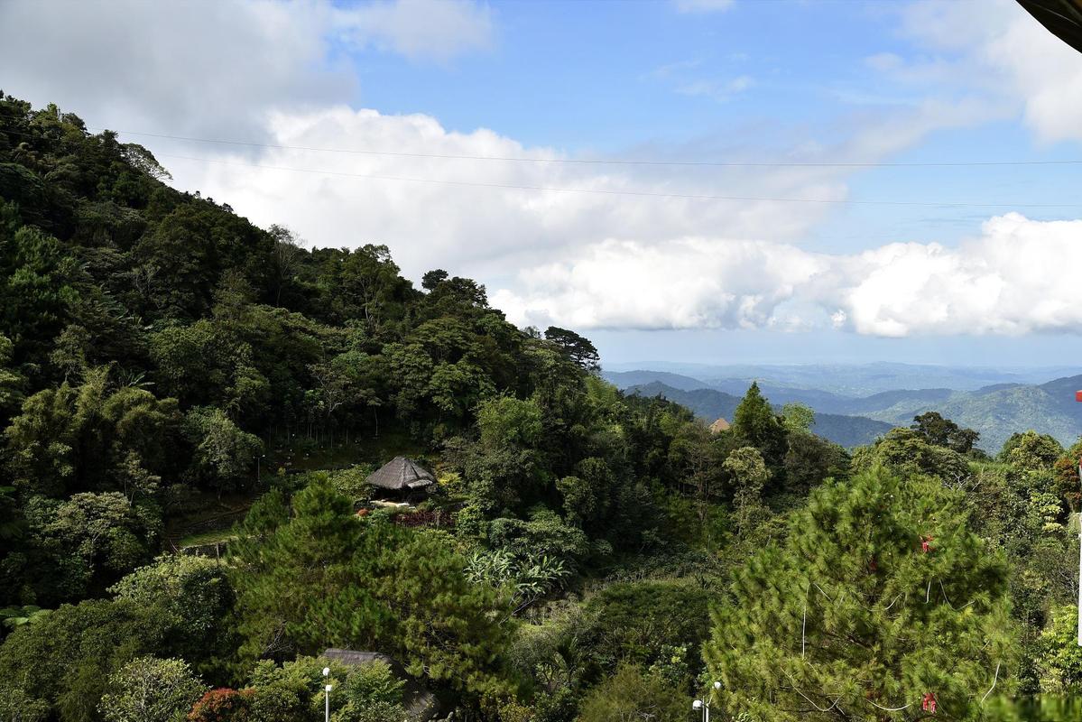 阿里山旅游攻略，如何规划一次完美的阿里山之旅？-图1