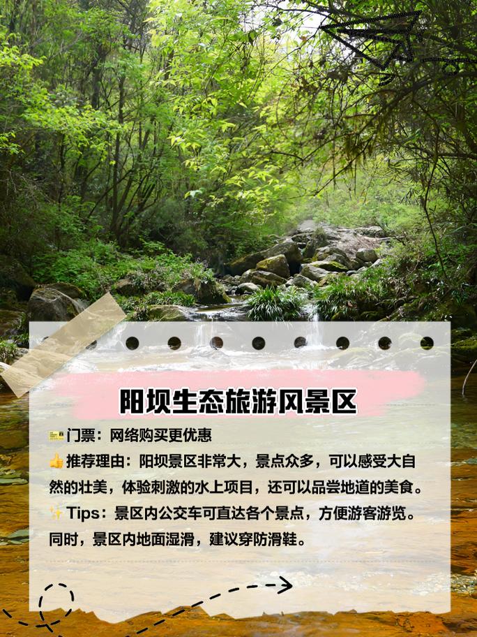 阳坝旅游攻略如何规划一次完美的阳坝之旅？-图1