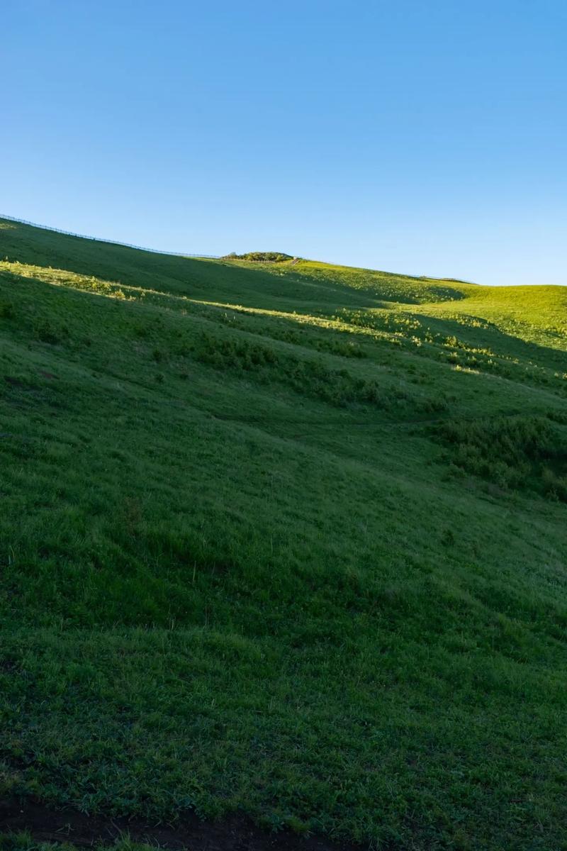 北京灵山旅游攻略，如何规划一次完美的旅行体验？-图3