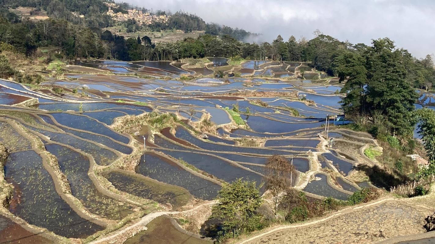 哈尼梯田旅游攻略，如何规划一次完美的旅行？-图2