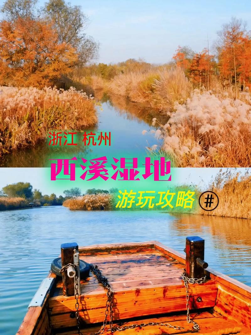 杭州西溪湿地旅游攻略，如何玩转这片自然美景？-图2