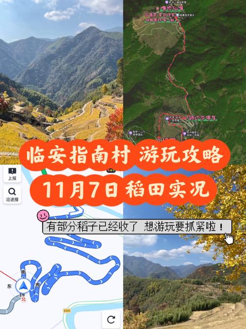 指南村旅游攻略，如何规划一次完美的旅行体验？-图3