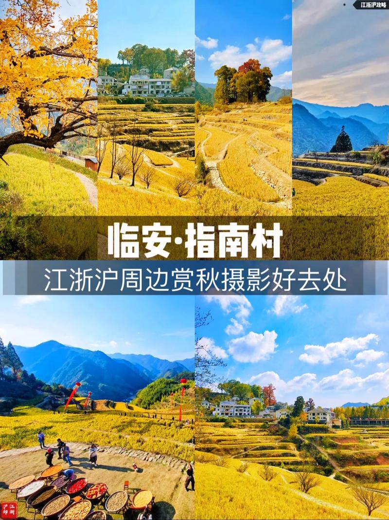 指南村旅游攻略，如何规划一次完美的旅行体验？-图1