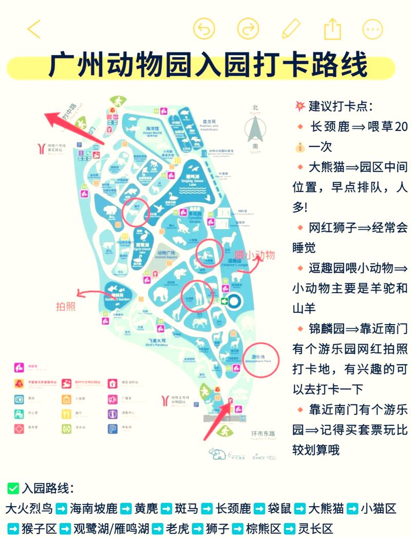 广州动物园旅游攻略，如何规划一次完美的游览体验？-图3