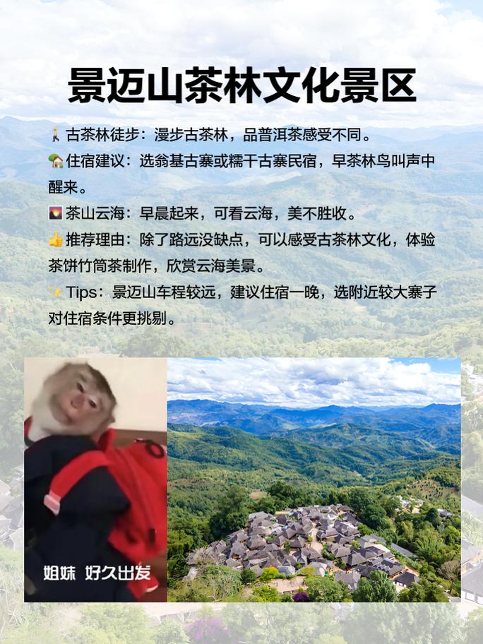 普洱有哪些不容错过的旅游景点？-图1