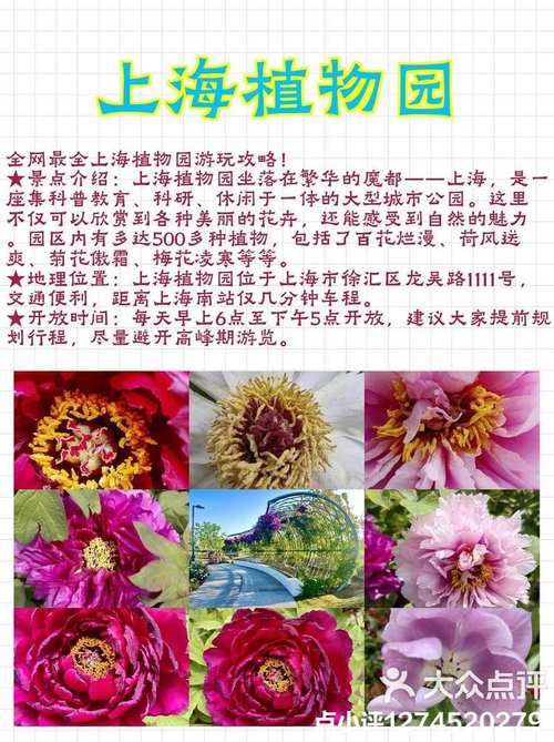 上海植物园旅游攻略，如何规划一次完美的游览体验？-图1