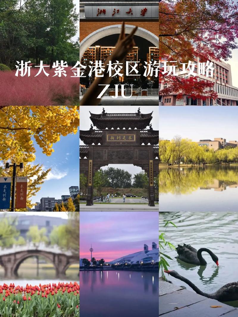 浙大旅游攻略，如何玩转浙江大学及周边景点？-图3