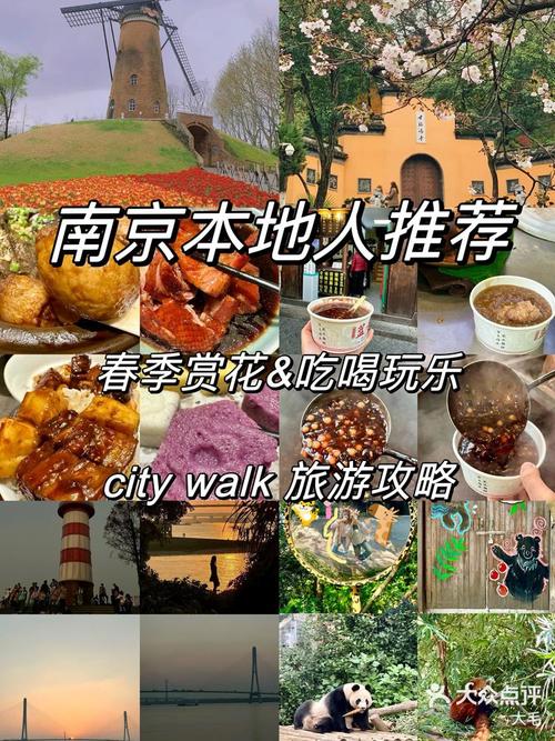 南京春季旅游攻略，如何规划一次完美的春日之旅？-图3