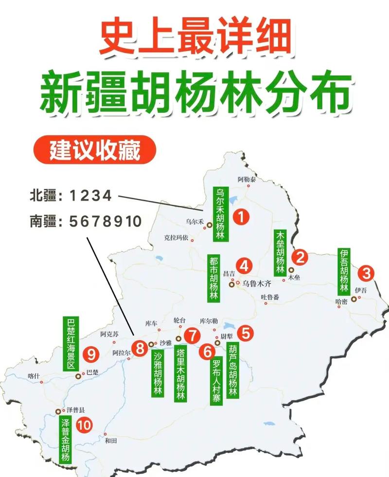 新疆胡杨林旅游攻略，如何规划一次难忘的探险之旅？-图2