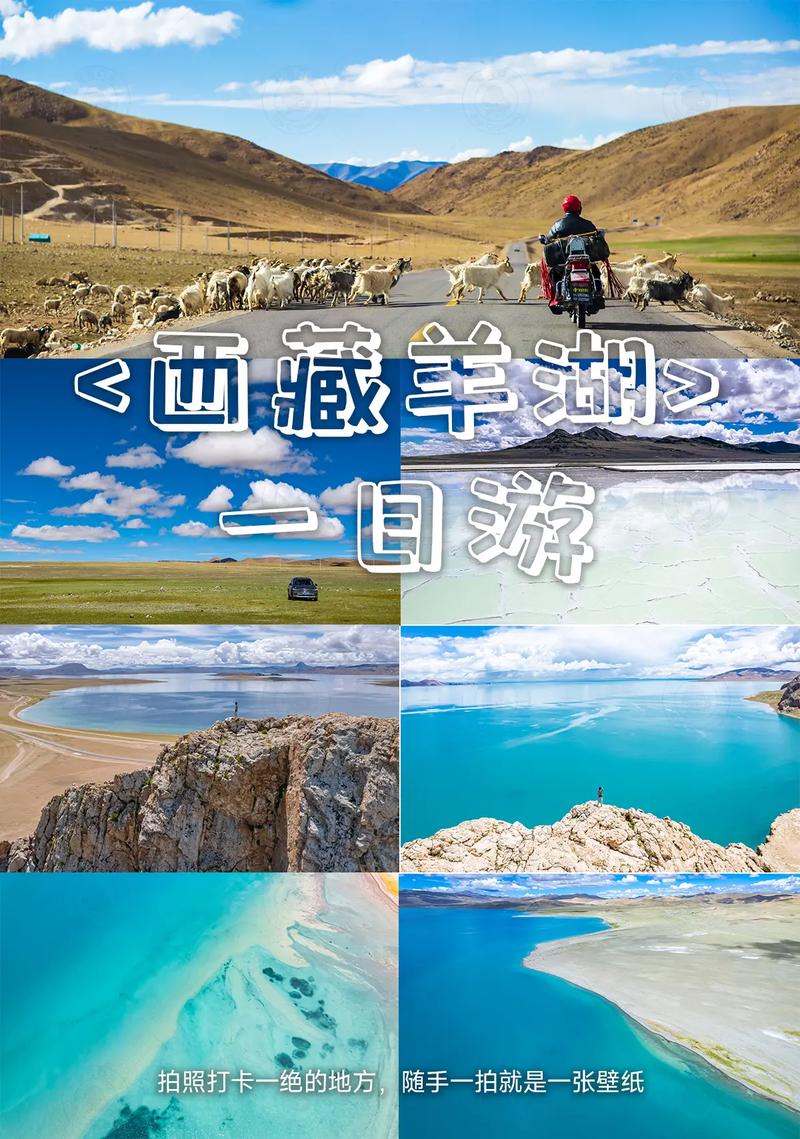 羊卓雍措旅游攻略，如何规划一次完美的旅行体验？-图3