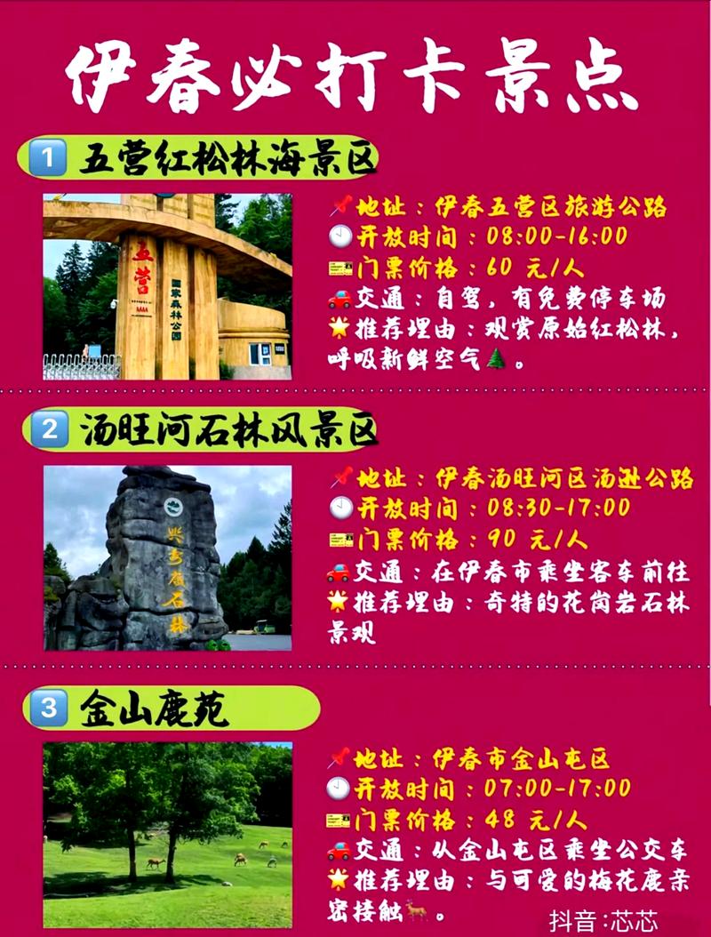 探索东北秘境，伊春旅游攻略有哪些必去景点和实用建议？-图1