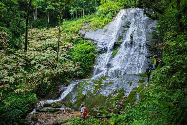 高黎贡山旅游攻略，如何规划一次完美的探险之旅？-图1