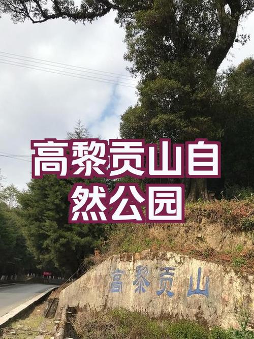 高黎贡山旅游攻略，如何规划一次完美的探险之旅？-图3