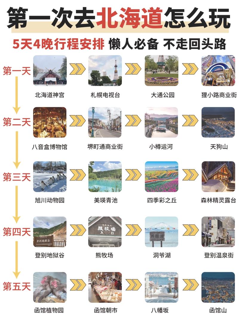 5月去北海道旅游，有哪些必去景点和活动推荐？-图1