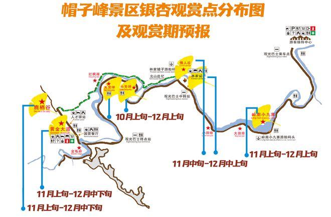 南雄银杏旅游攻略，如何规划一次完美的赏银杏之旅？-图1