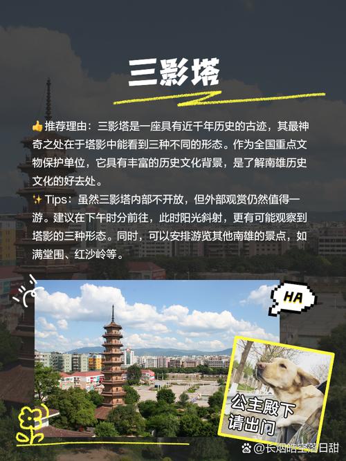 南雄银杏旅游攻略，如何规划一次完美的赏银杏之旅？-图2