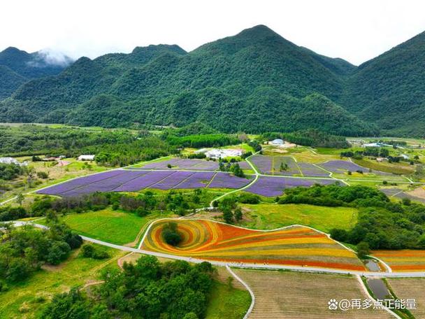 巫溪红池坝旅游攻略，如何规划一次完美的旅行？-图3