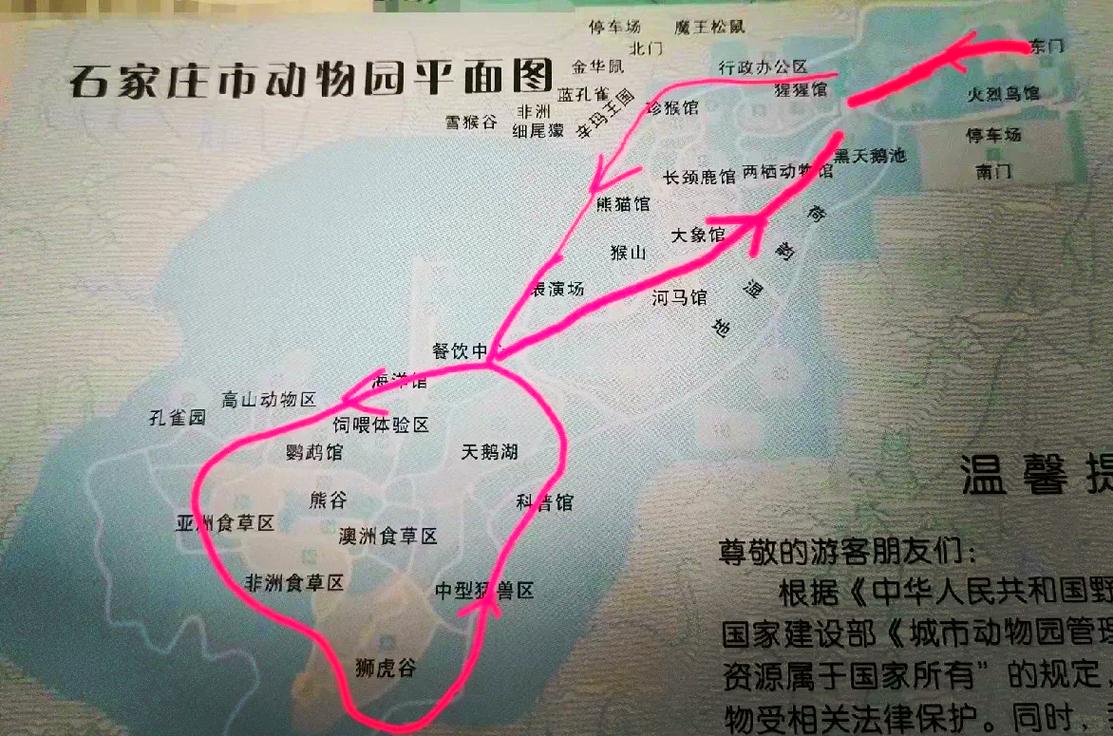 如何规划一次完美的石家庄动物园之旅？看这篇旅游攻略就够了！-图1