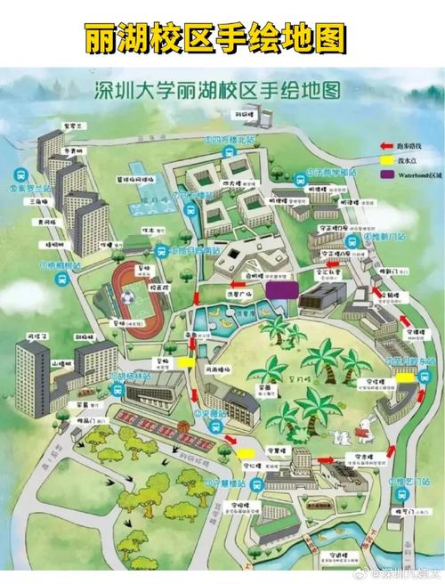 深圳大学旅游攻略，如何充分体验这所美丽校园的魅力？-图2