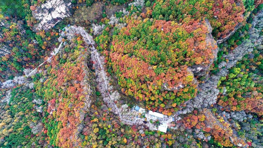 驼梁风景区旅游攻略，如何规划一次完美的旅行体验？-图2