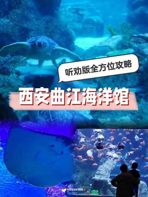 西安海洋馆旅游攻略，如何规划一次完美的参观体验？-图2