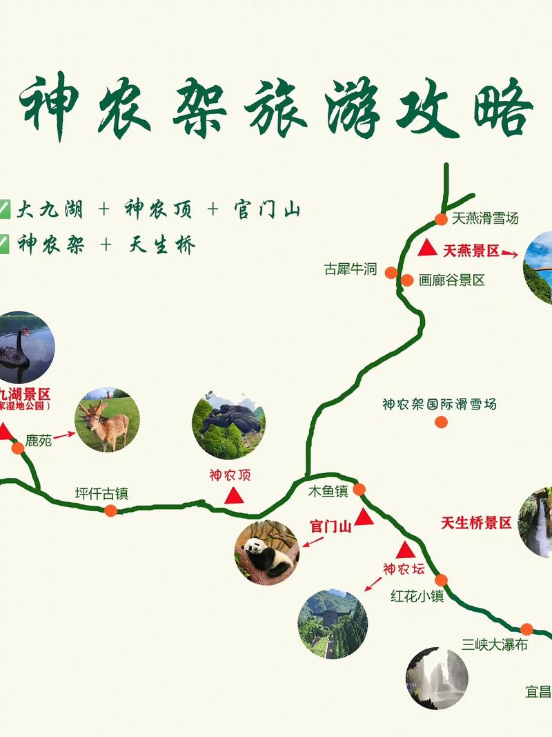 春节去神农架旅游，有哪些攻略可以参考？-图1