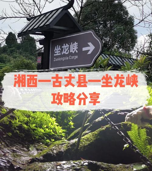 如何制定完美的坐龙峡旅游攻略？-图1