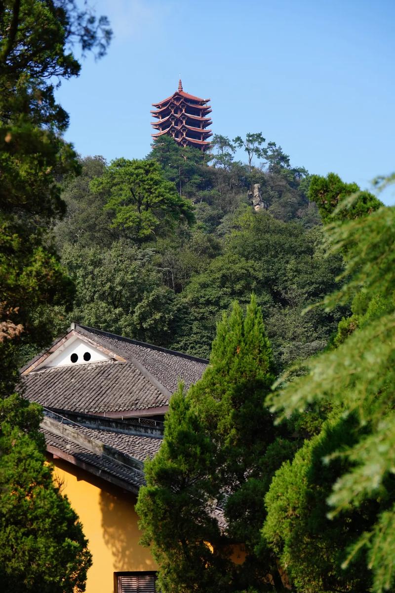 重庆缙云山旅游攻略，如何规划一次完美的旅行体验？-图2