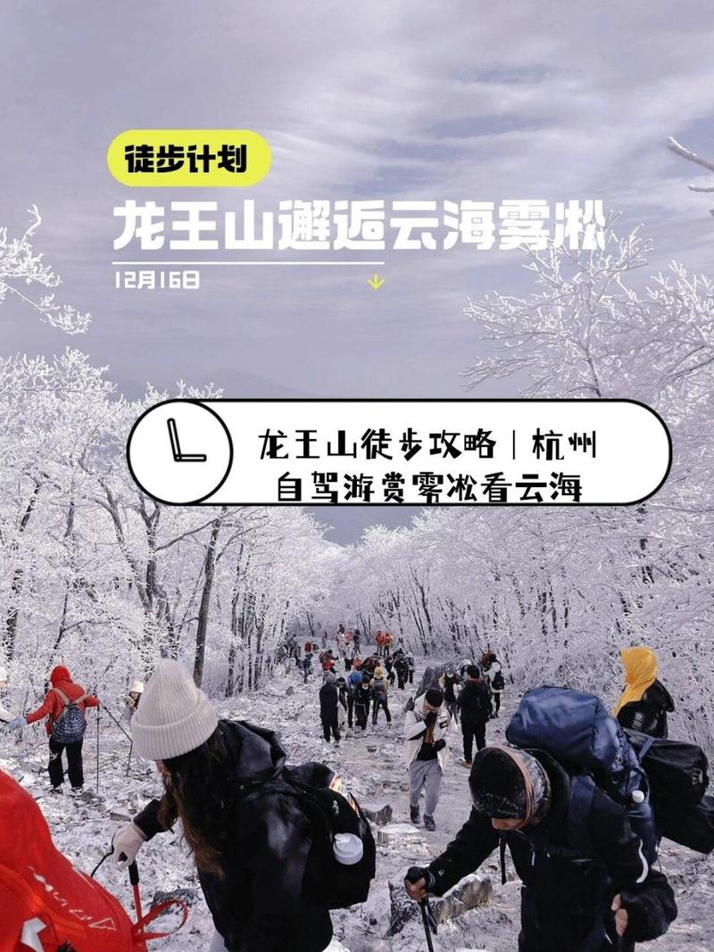 安吉龙王山旅游攻略，如何规划一次完美的旅行体验？-图2