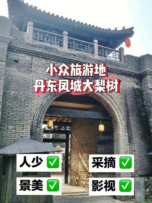 丹东大梨树旅游攻略，如何规划一次完美的旅行体验？-图1