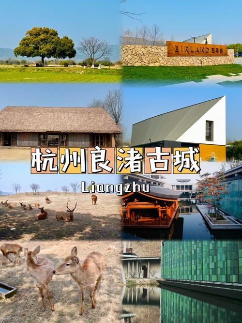 如何玩转良渚文化村？一份详尽的旅游攻略等你来探索！-图2