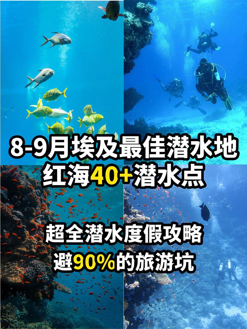 红海旅游攻略，如何规划一次完美的红海之旅？-图3