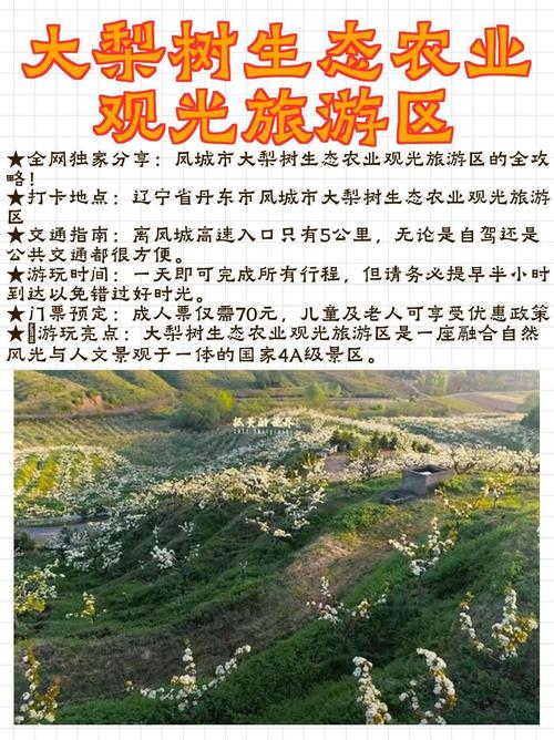 辽宁凤城旅游攻略，如何玩转这座魅力之城？-图1