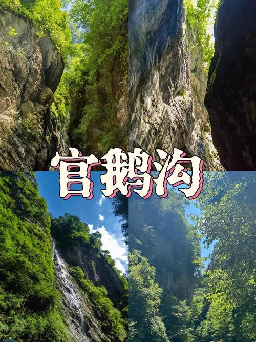 甘肃官鹅沟旅游攻略，如何玩转这片自然奇景？-图1