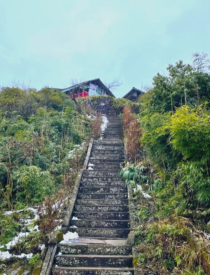 雅安周公山旅游攻略，如何规划一次完美的旅行体验？-图2